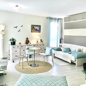 Antinea Cassis